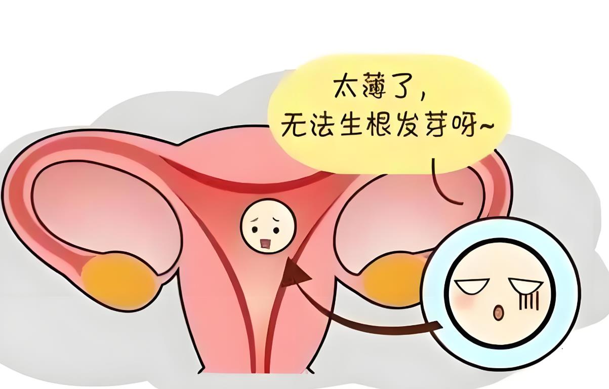 子宮壁薄