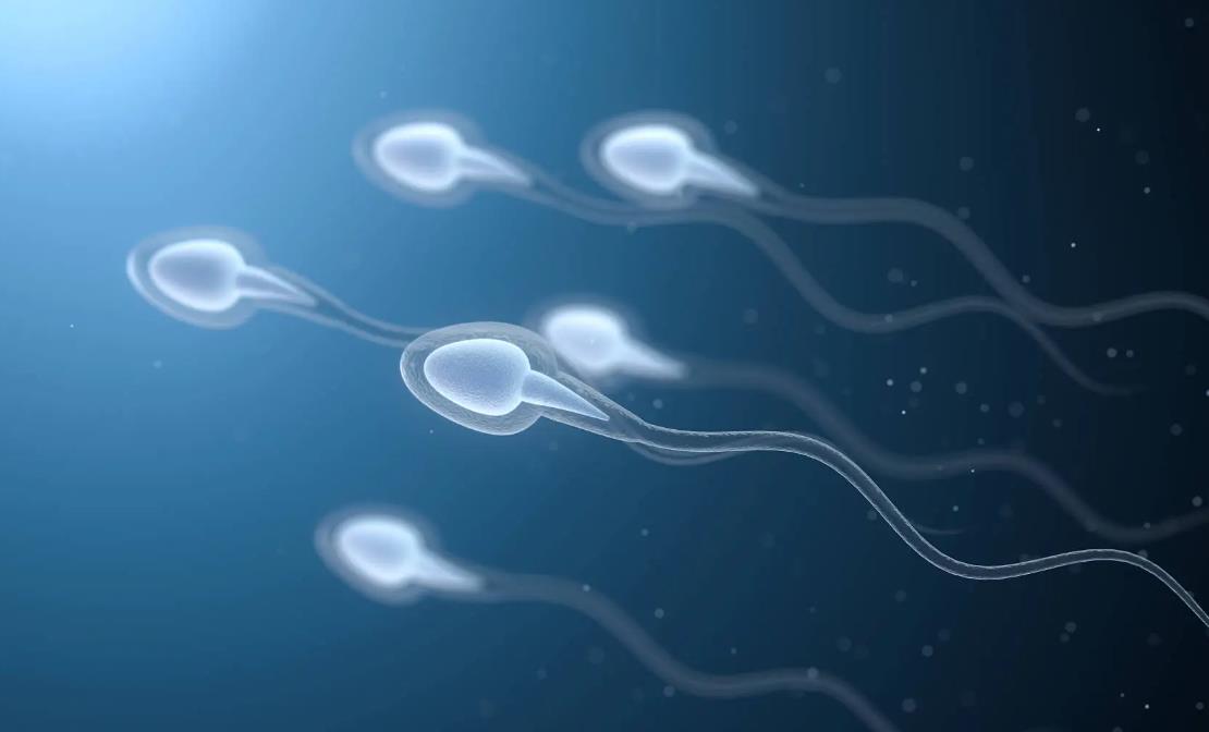 做試管男人精子需要達(dá)到什么要求