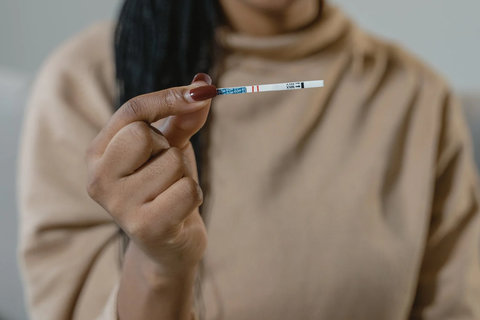 揭秘試管嬰兒性別比例：優(yōu)質(zhì)胚胎是否傾向男孩？