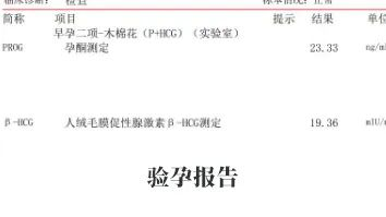 驗(yàn)孕報(bào)告