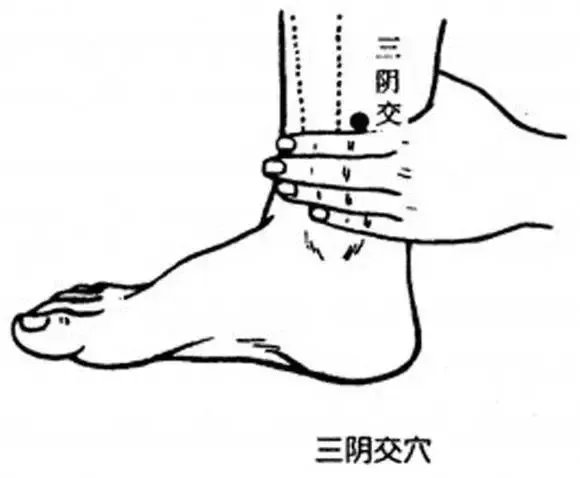 三陰交穴