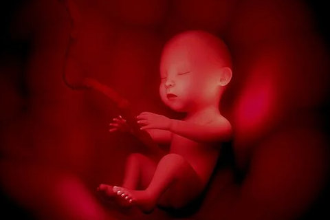 42歲做一代試管還是三代試管？成功率深度分析