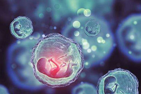 南昌第三代試管嬰兒多少錢？最新費(fèi)用全解析