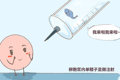 武漢助孕機(jī)構(gòu)有哪些？武漢助孕機(jī)構(gòu)全方位解析