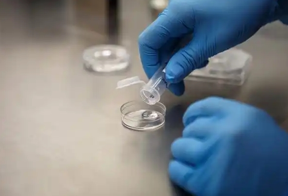 蘭州做試管嬰兒要多少錢？蘭州試管費(fèi)用全解析