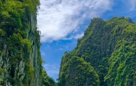 去泰國做試管嬰兒可靠嗎？2025最新赴泰試管分析