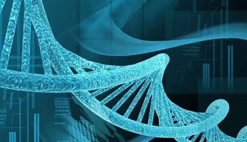北京做試管一次多少錢？2025北京試管費(fèi)用解析