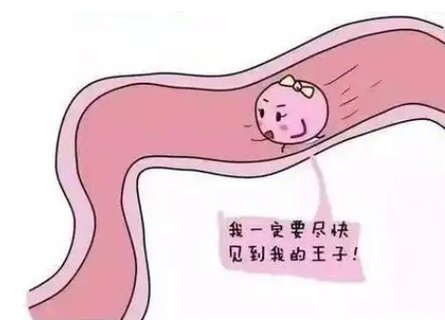 促排卵一次的費用大概多少？促排卵治療費用詳解