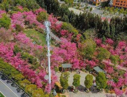 昆明做試管嬰兒需多少錢？助您輕松規(guī)劃生育預(yù)算