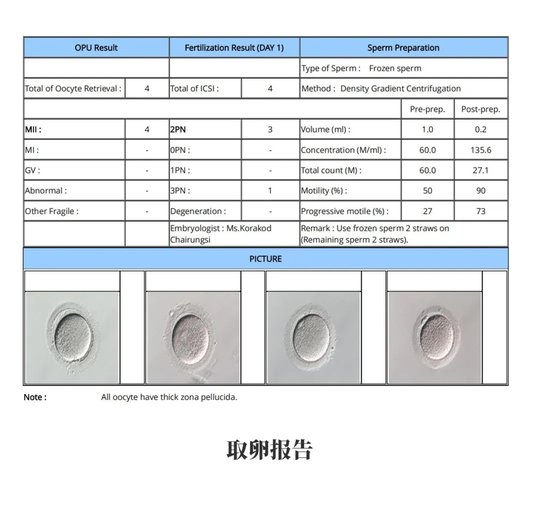 取卵報(bào)告