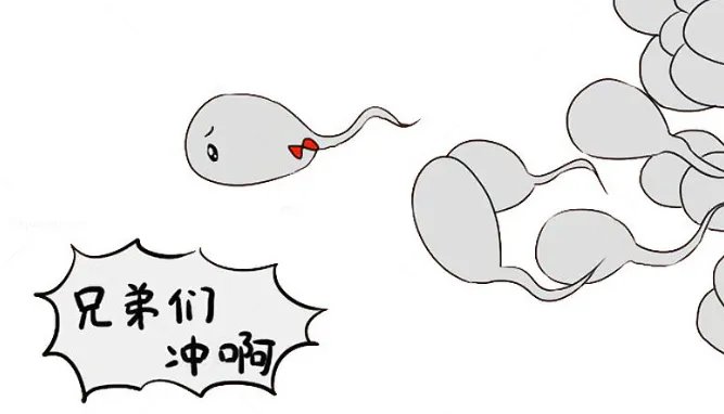 精子DNA碎片率（DFI）高怎么辦？科學(xué)備孕與泰國DHC生殖解決方案