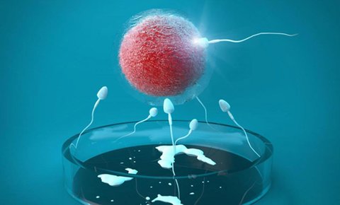 90%成功率阻斷致病基因傳遞！血友病家庭生育健康寶寶全流程指南
